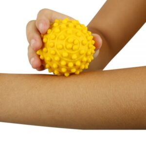 Esfera Fisioterápica Fisiopauher